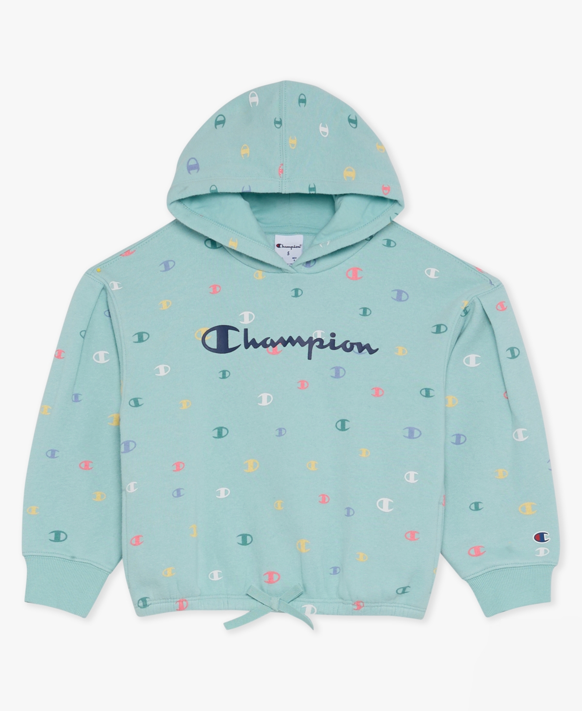 Champion Girls 4-6X 2-Piece Pull-On Hoodie and Joggers Set