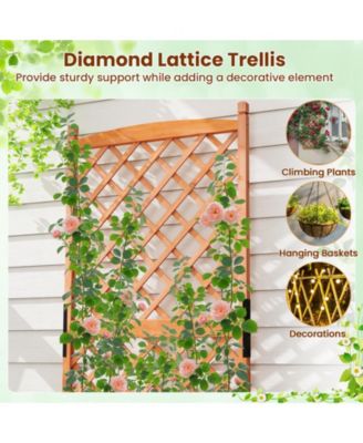 60'' Tall Raised Garden Bed w/ Diamond Lattice Trellis Drainage Holes Outdoor