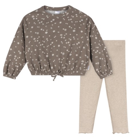 Gerber Toddler Girls 2-Piece Top and Legging Set