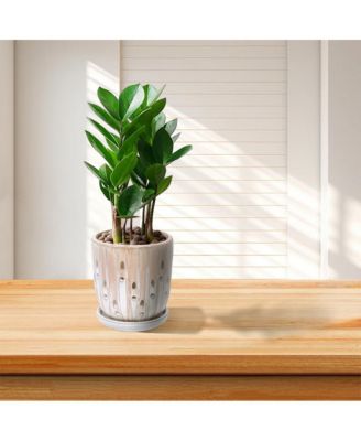 Modern Striped Ceramic Planter Set of 2