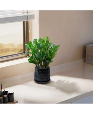 Set of 2 Modern Ceramic Planters