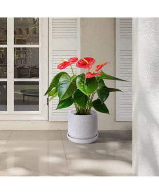 Set of 2 Modern Ceramic Planter Pots