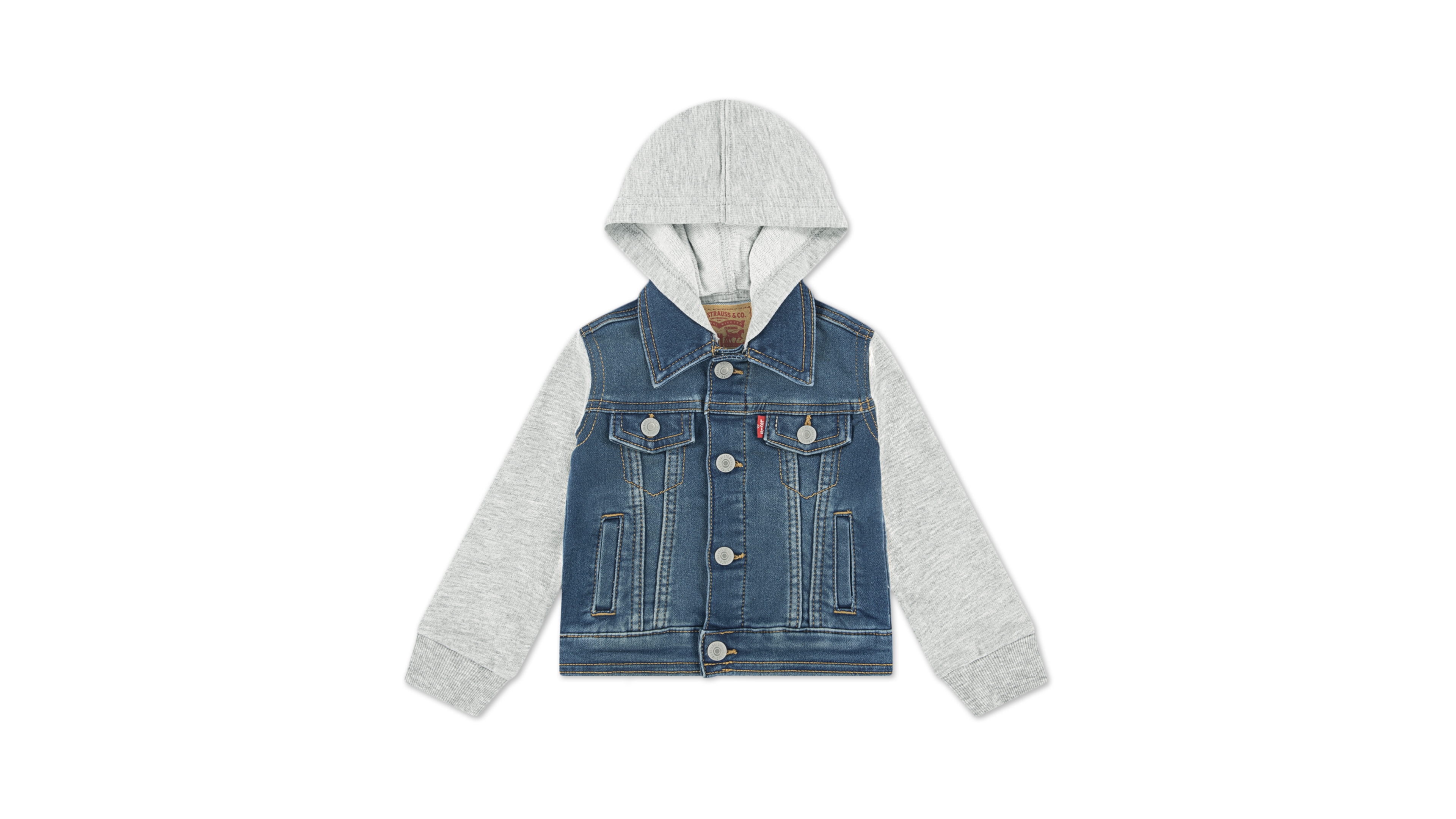 Levi's Baby Boys Hooded Trucker Jacket