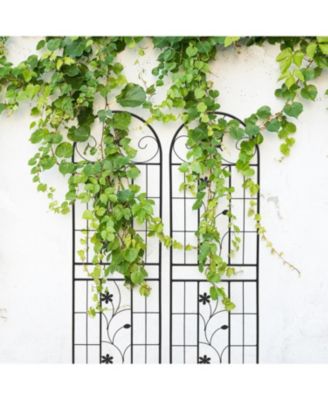2 Pack Metal Garden Trellis 71" Rustproof Black