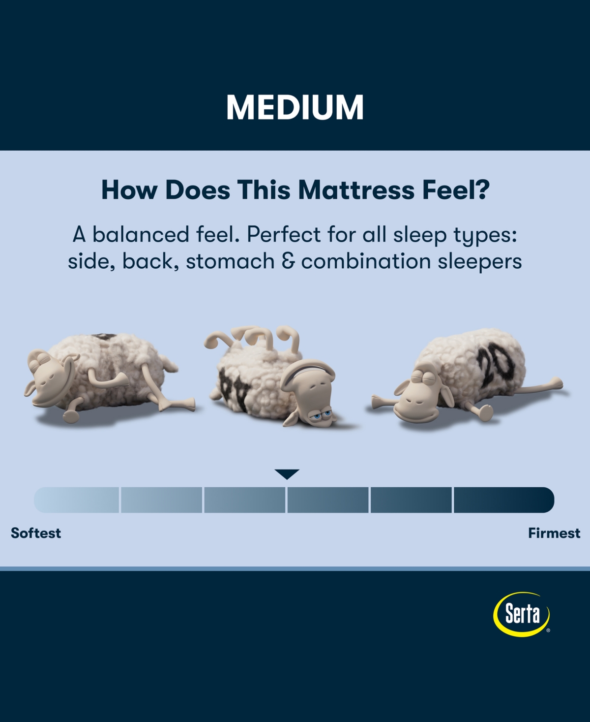 Serta Perfect Sleeper Lavender Falls 12" Medium Hybrid Tight Top Mattress Set, Full In Transparent
