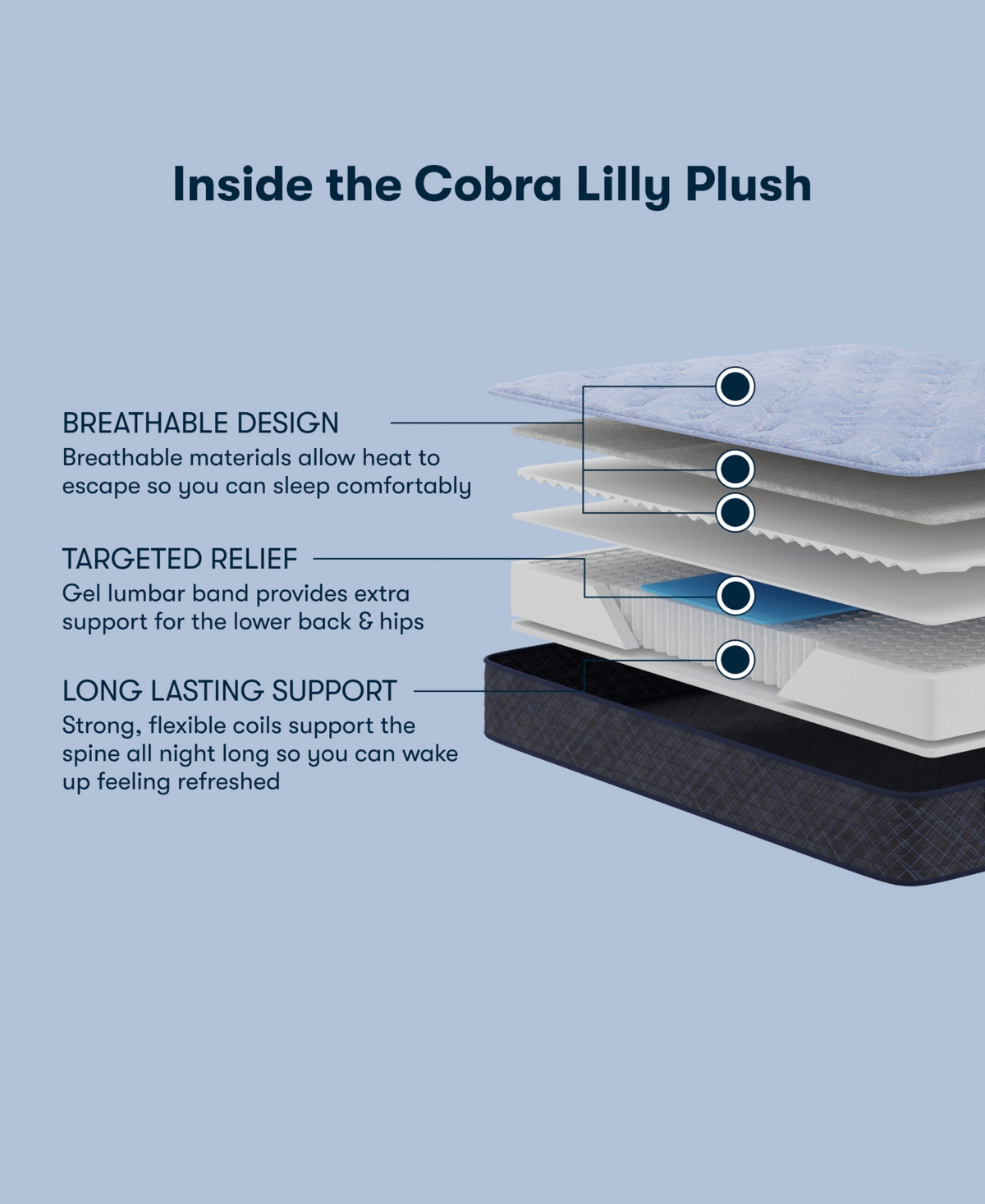 Serta Perfect Sleeper Cobra Lily 10.5" Plush Tight Top Mattress Set, California King In Transparent