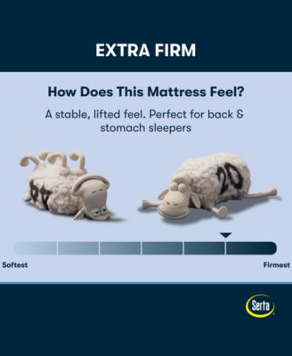 Perfect Sleeper Osiria Rose 12" Extra Firm Tight Top Mattress Set, Queen Split