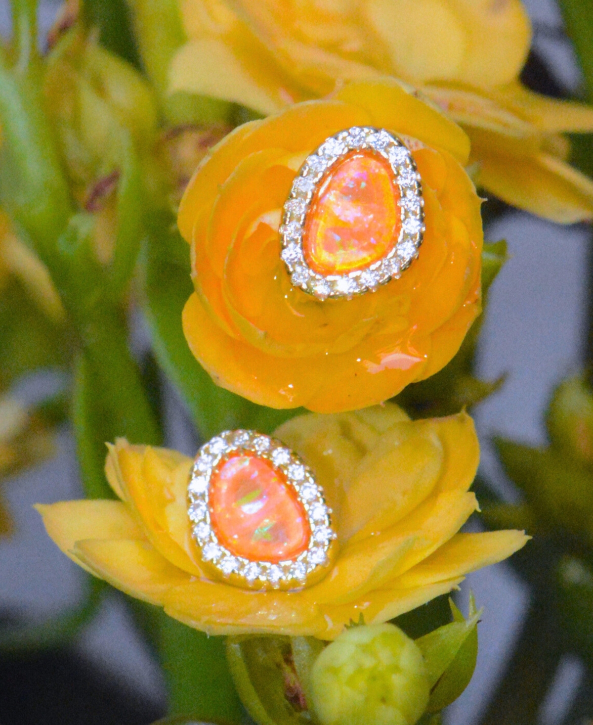 Kamaria Pebble Stud Earrings With Lab-grown Opal In 14k Gold Plated Sterling Silver