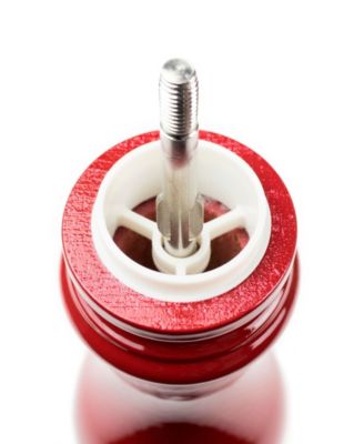 Paris u'Select Zirlion 9" Salt Mill