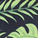 Palm leaf