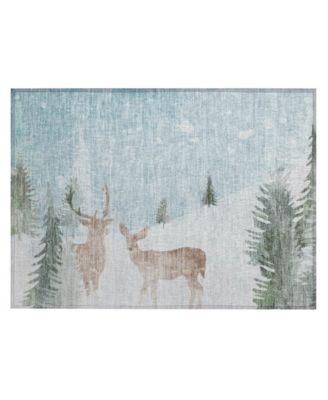 Addison - Holiday Washable Indoor/Outdoor ACN1821 Area Rug