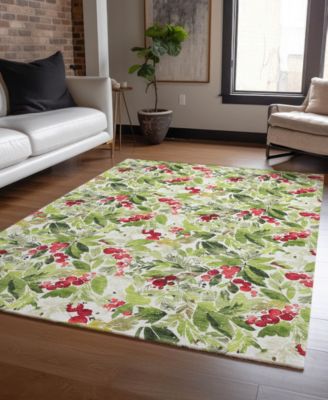 Holiday Washable Indoor/Outdoor ACN1816 3'x5' Area Rug