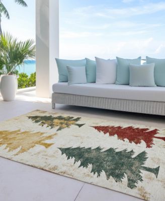 Holiday Washable Indoor/Outdoor ACN1811 8'x10' Area Rug