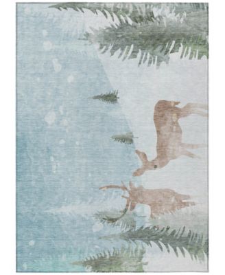 Addison - Holiday Washable Indoor/Outdoor ACN1821 Area Rug