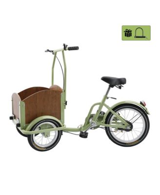 Tricycle for Ladies and Teens with Oversized Front Basket for Pets and Picnic Gear