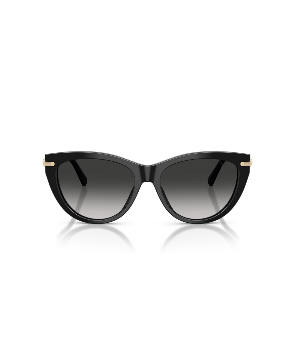 Tiffany & Co . Woman Sunglass Tf4253 In Black