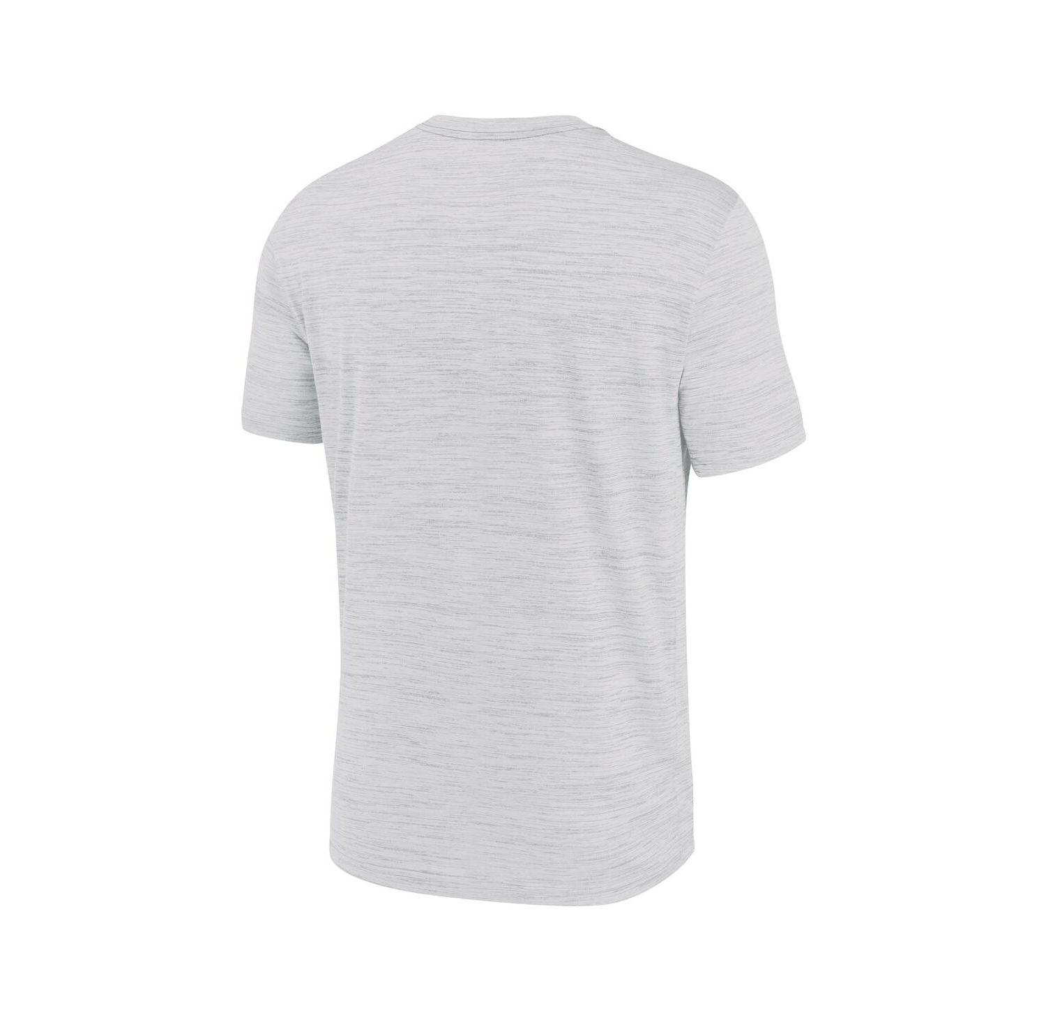 Men's Ash Detroit Tigers Velocity Team Phrase Dri-FIT T-Shirt