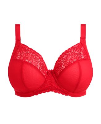 Tiernie Plus Size Plunge Bra