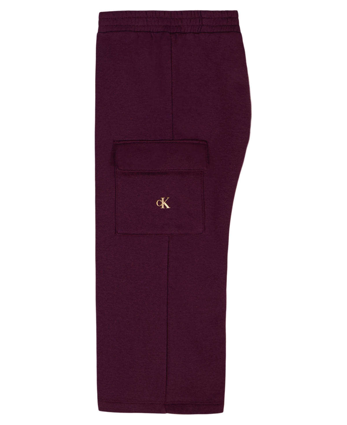 Calvin Klein Girls Toddler 2t-4t 2-piece Long-sleeve Sweatshirt And Pants Set In Burgundy