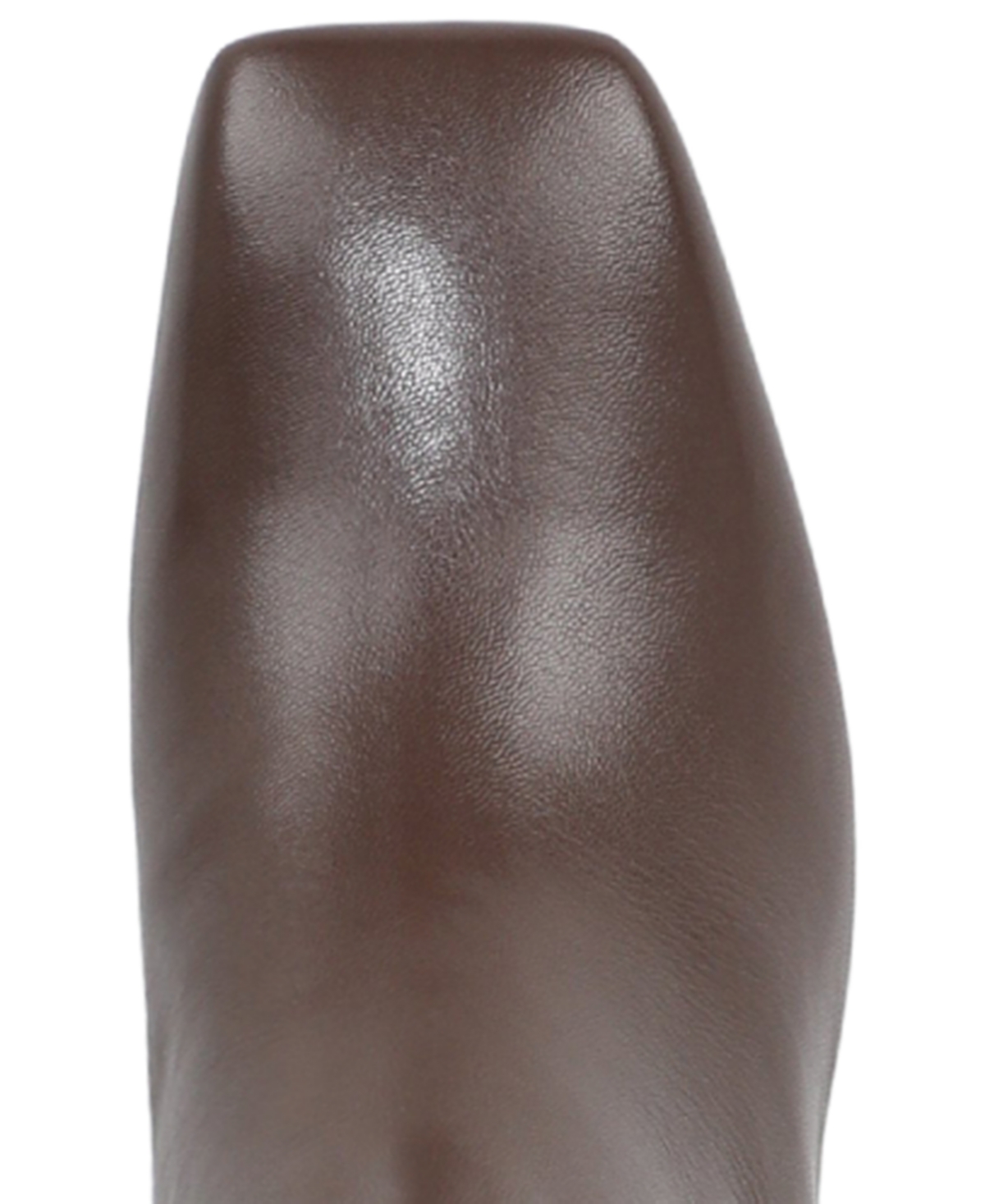 Naturalizer Women's Candela Wide Calf Tall Dress Boots In Brown