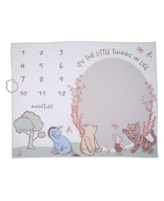 Baby Disney Pooh Bear and Pals Photo Opp Milestone Fleece Blanket