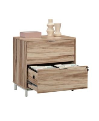 Storage File Cabinet with 2 Drawers