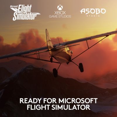 G Flight Yoke System