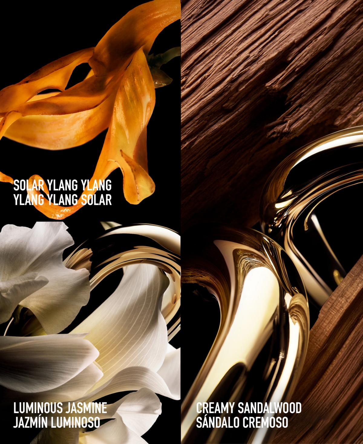 Rabanne Million Gold For Her Eau De Parfum Refill, 1.69 oz.