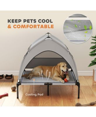 Elevated Dog Bed, Portable Raised Pet Bed with Canopy, Bag, 36"L