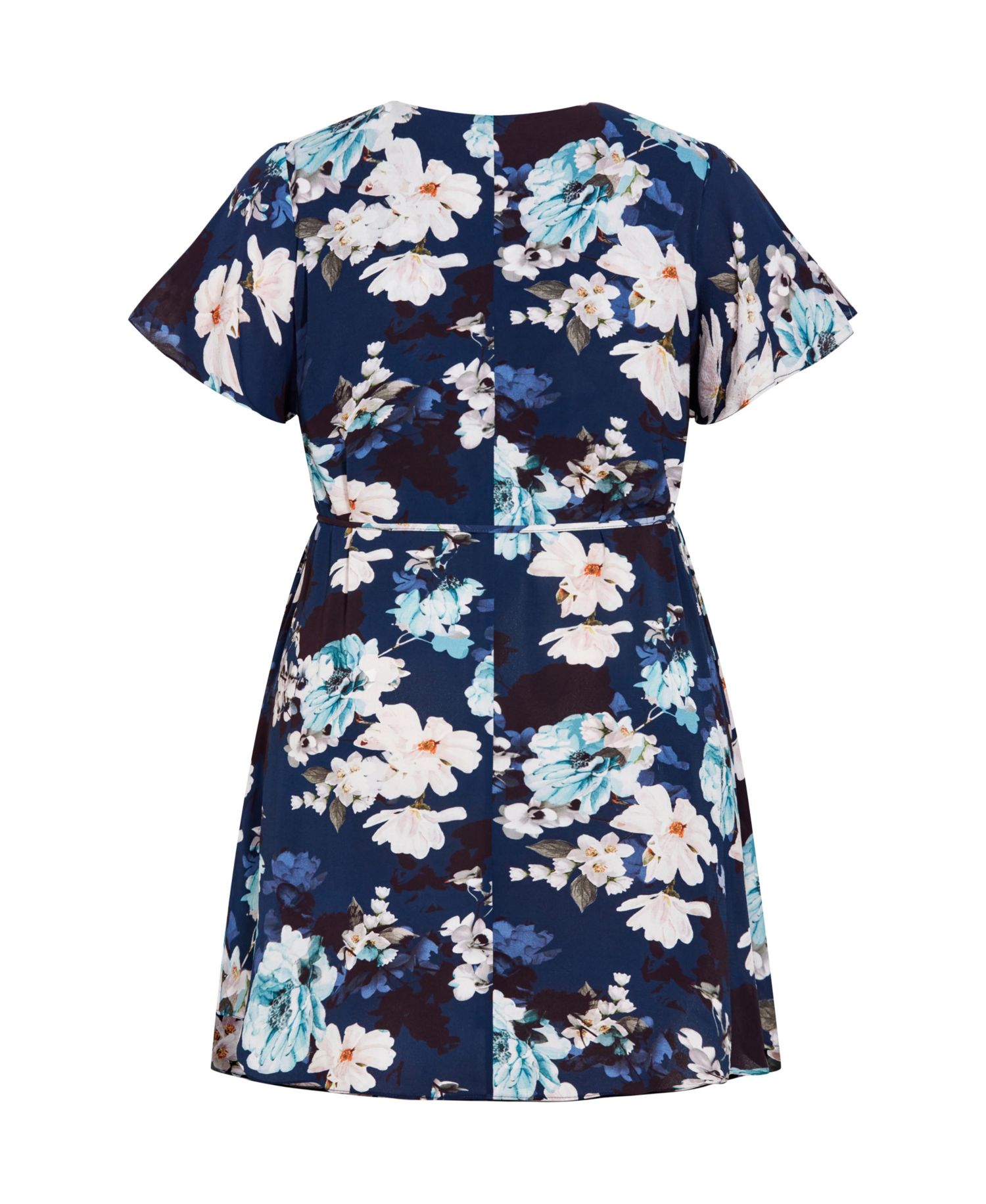 Plus Size Megan Print Dress