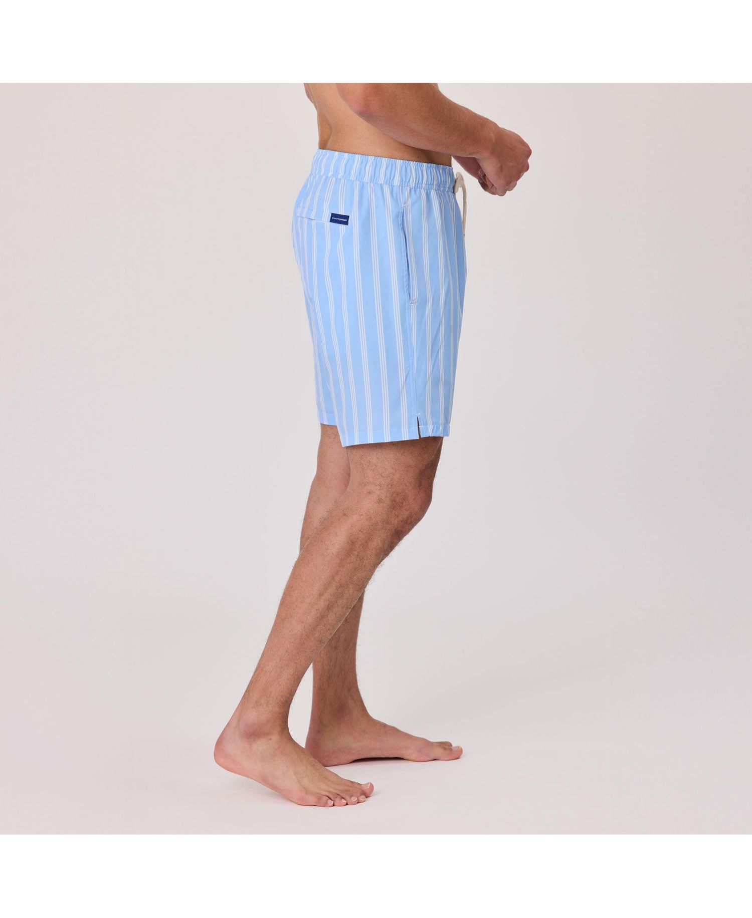 Men's Ocean Drive Stripe Swim Short.