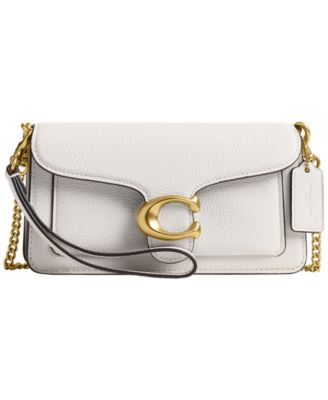 Tabby Mini Pebble Leather Chain Crossbody Bag 19