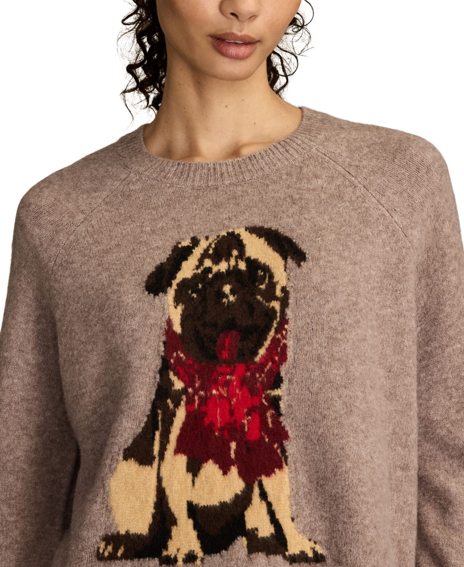 Women's Cloud Soft Pug Crew Neck Sweater