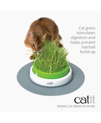Senses 2.0 Grass Planter, Retail