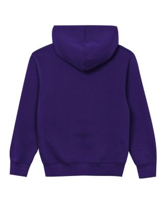 Toddler Purple Minnesota Vikings Back to Basics Hoodie