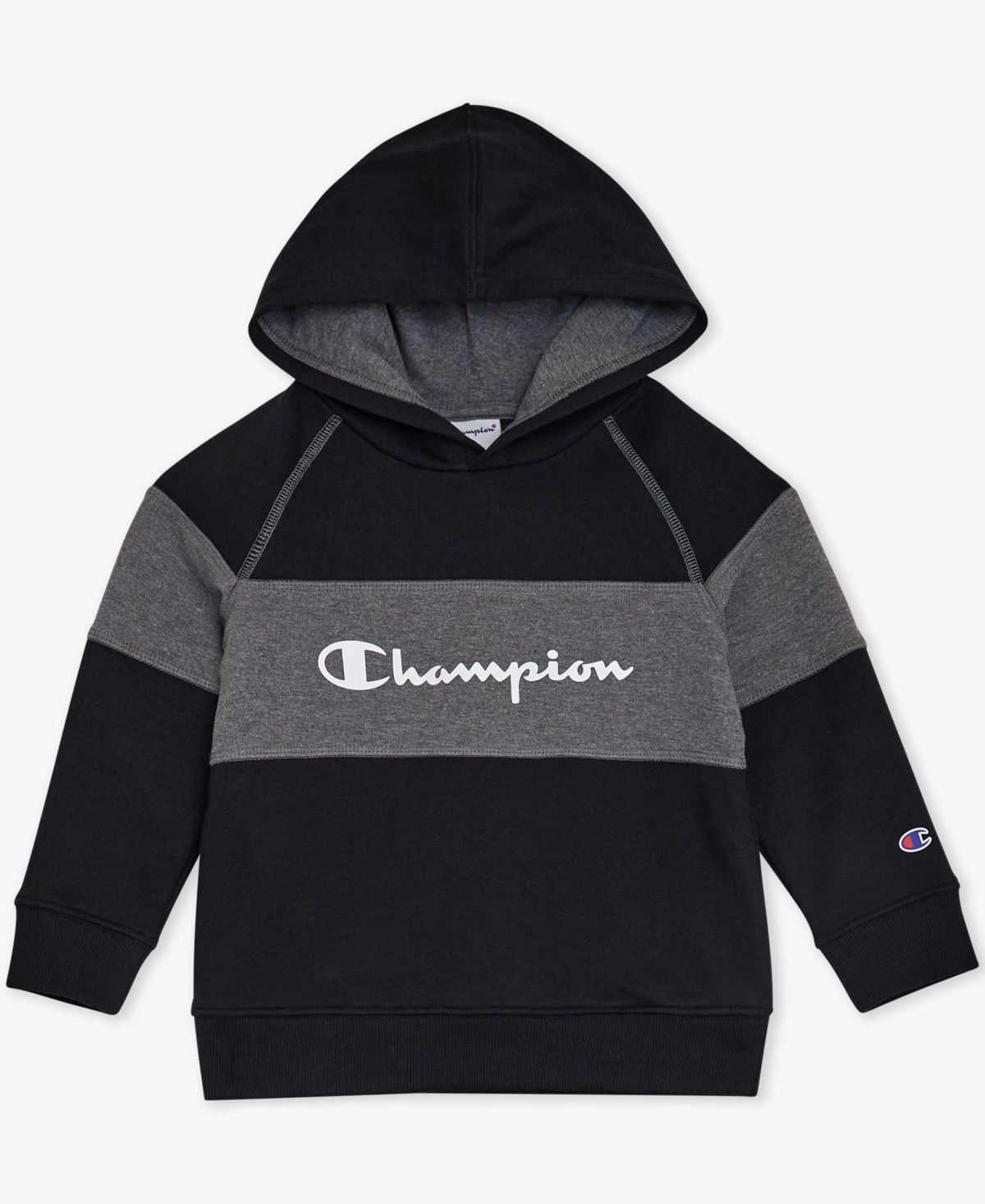 Champion Boys Toddler 2t-4t Colorblock Hoodie And Pants, 2-piece Set In Black