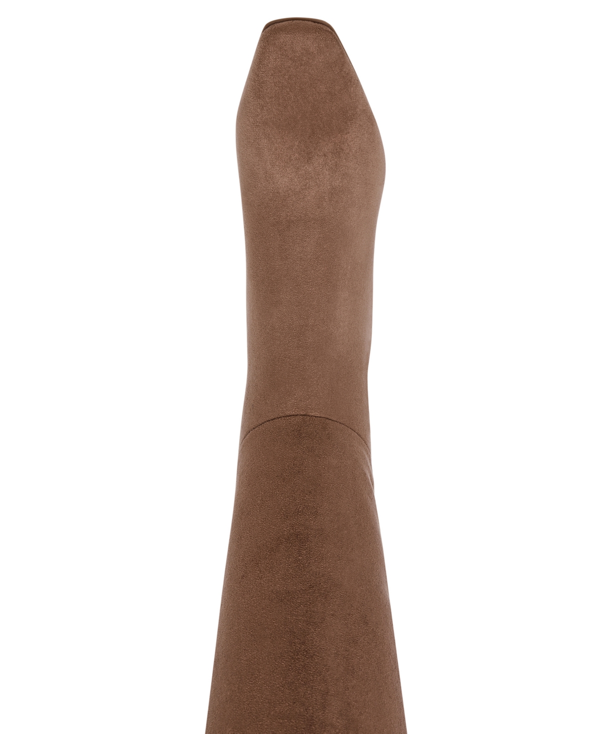 Anne Klein Women's Perfektion Snip Toe Knee High Boots In Brown