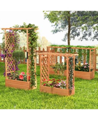 Raised Garden Bed with Arch Trellis-Orange