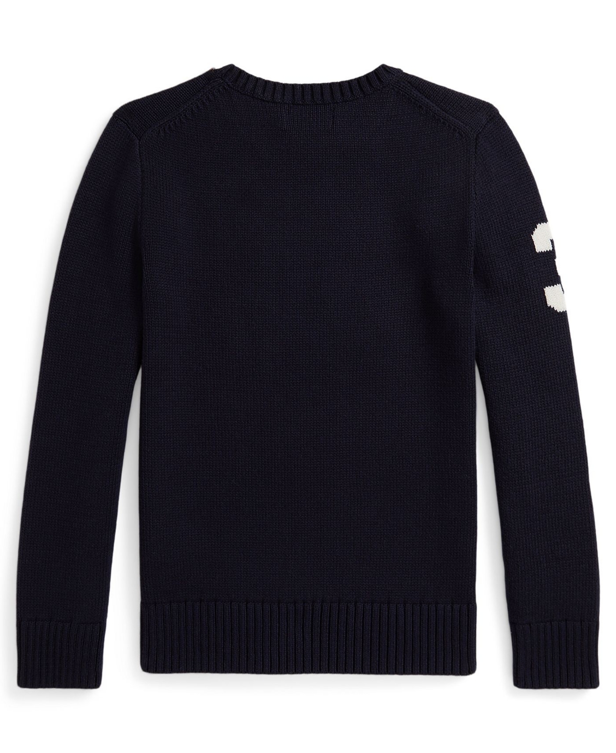 Polo Ralph Lauren Boys 8-20 Bear Crewneck Sweater
