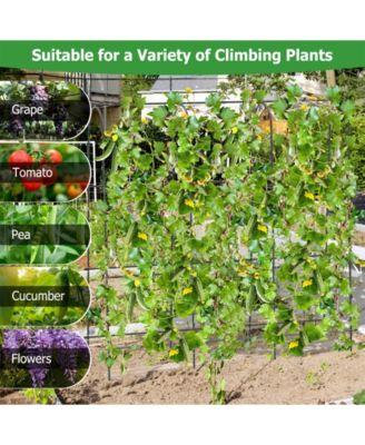 71 x 71 Inch U-Shaped Tall Garden Arched Trellis for Climbing Plants