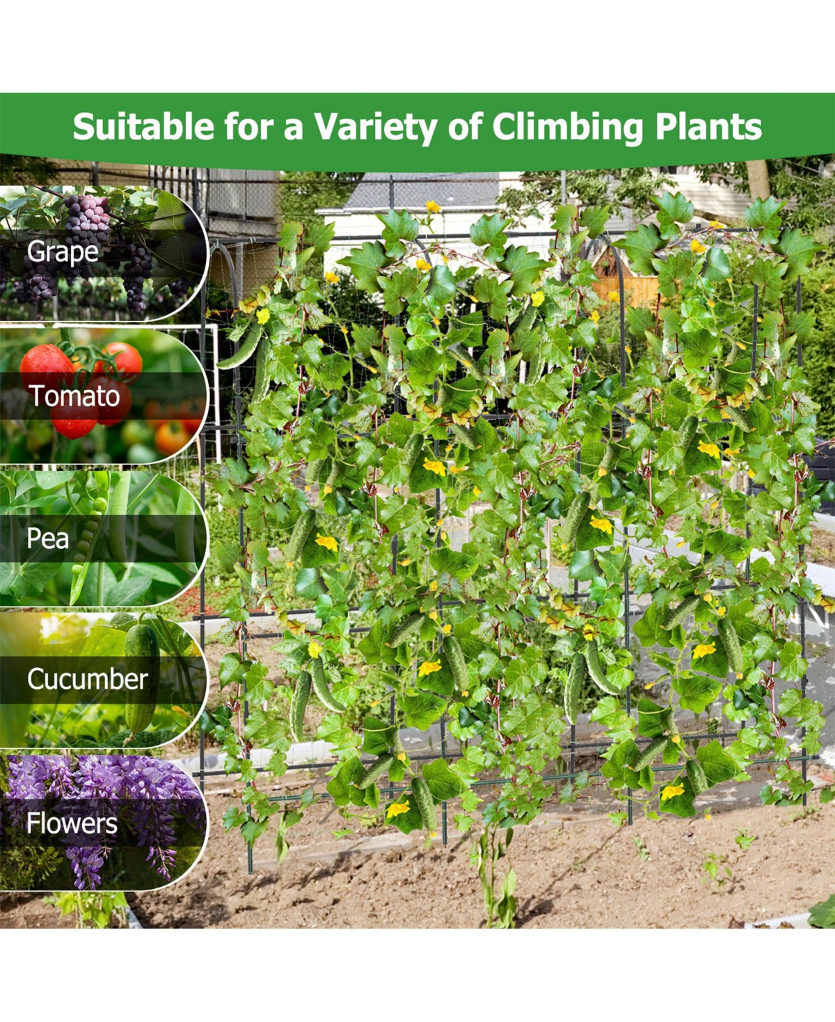 Sugift 71 x 71 Inch U-Shaped Tall Garden Arched Trellis for Climbing Plants