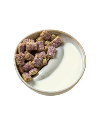 The Perfect Bite Ceramic Divided Bowl