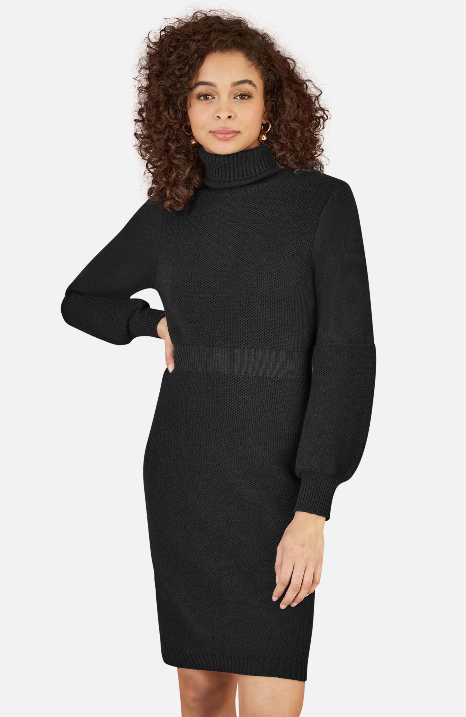 Women's Roll Neck Knitted Dress