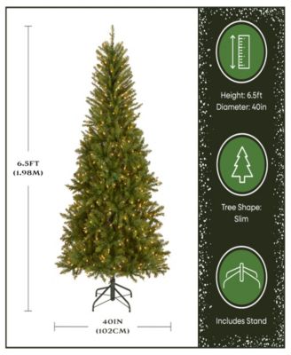 6.5' Dunhill Fir Slim Tree with 500 Clear Lights