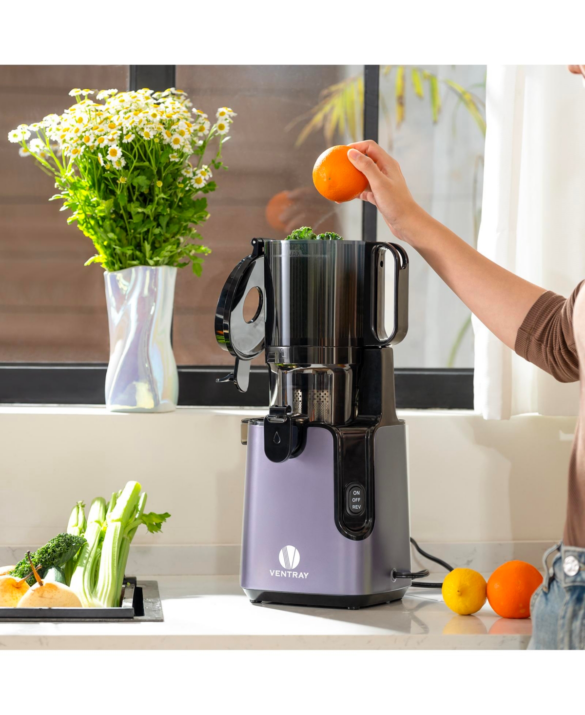 Cold Press Juicer, Masticating Juicer with 5.1 Inch Large Feed Chute, 250W Power High Juice Yield for Batch Juicing - Purple