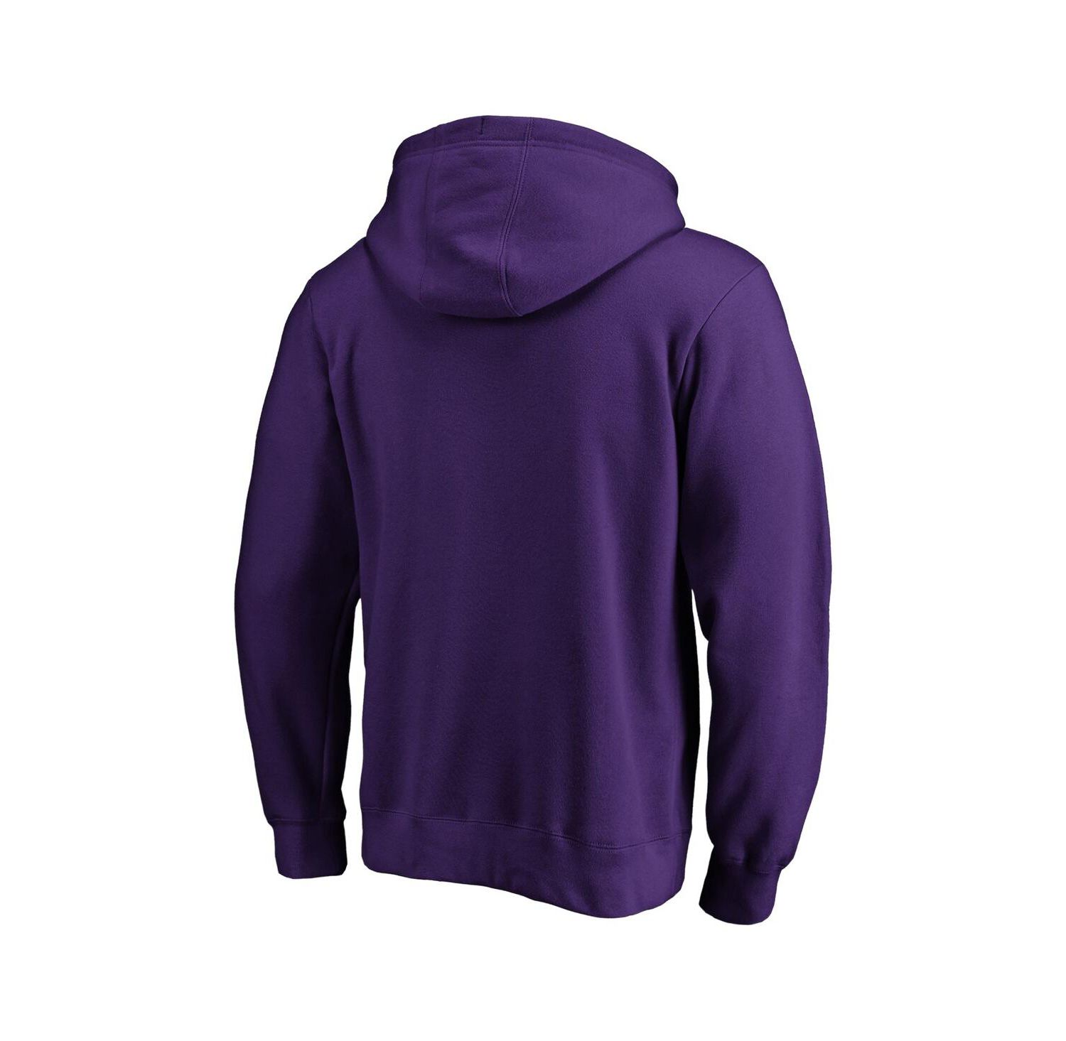 Men's Purple Minnesota Vikings Big & Tall Fleece Hoodie