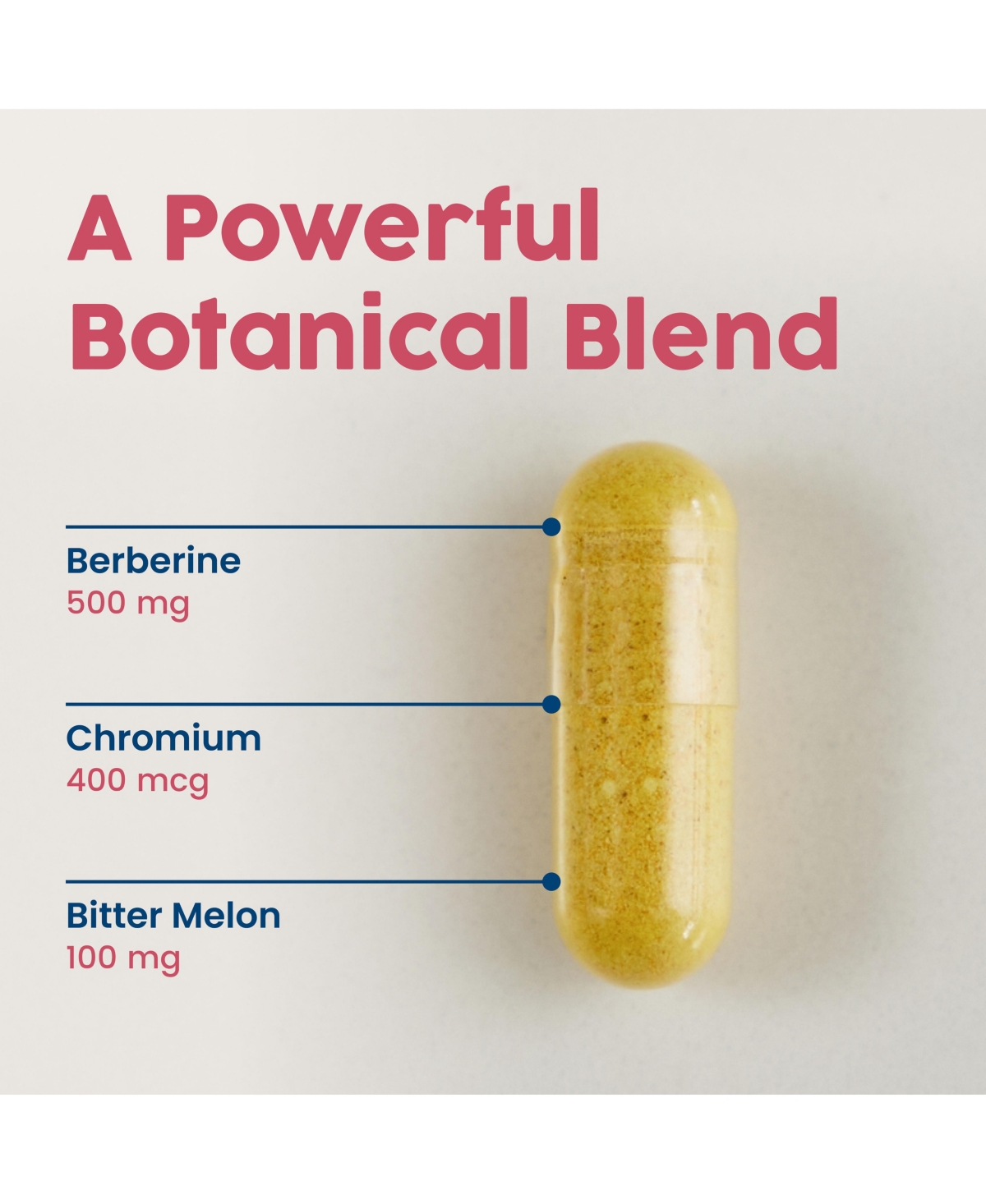 NativePath Native Berberine HCl 3-in-1 Complex with Chromium & Bitter Melon Extract - 500mg Premium Metabolic Support - 60 Capsules