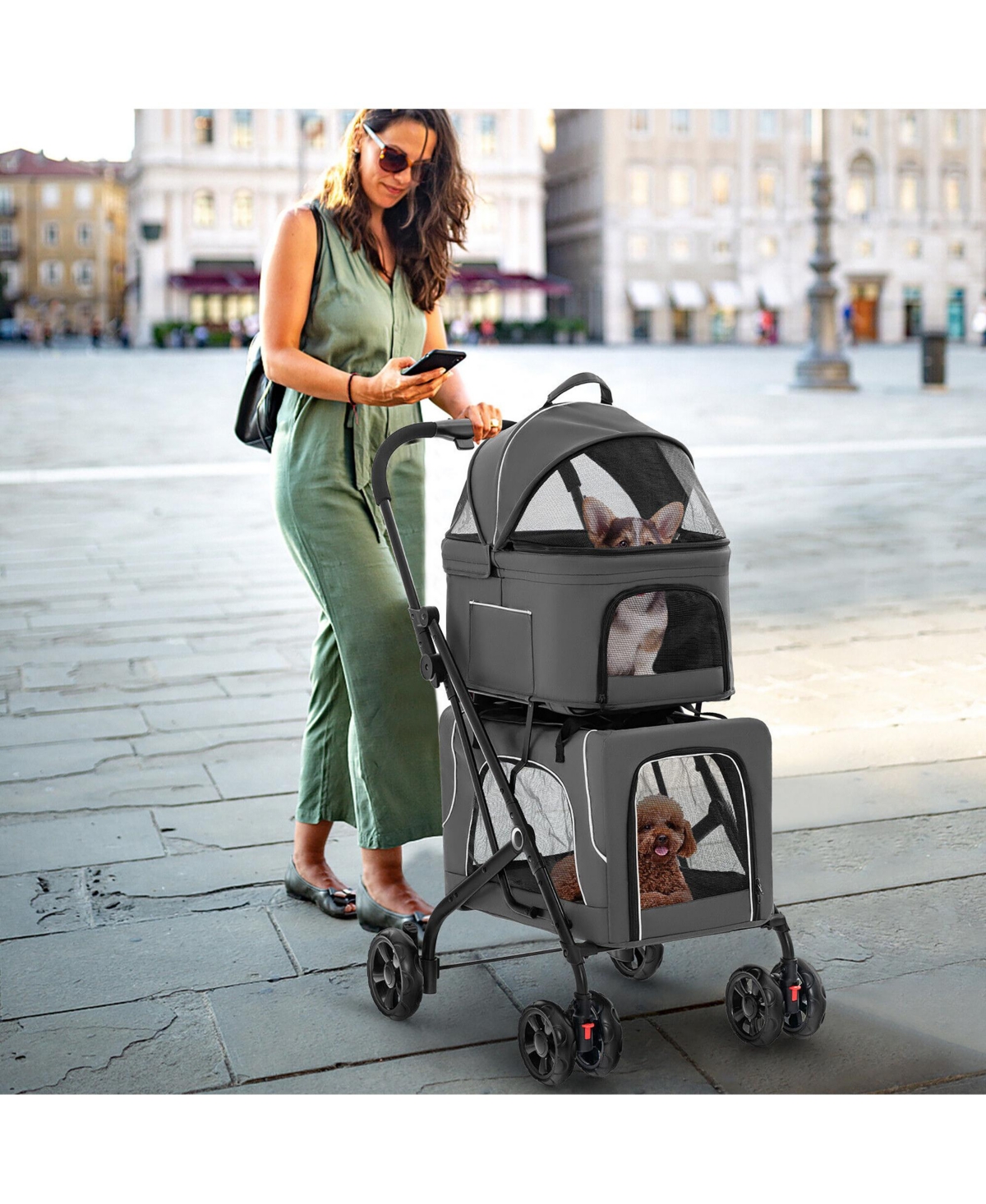 Gymax Double Pet Stroller for 2 Dogs or Cats w/ 2 Detachable Carriers Safety Belt