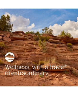 | Reds Pak: Mixed Berry superfood drink mix with polyphenols, antioxidants, probiotics for gut & energy support. 30 packets.