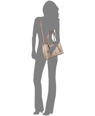 Anders Carryall Mini Satchel Bag